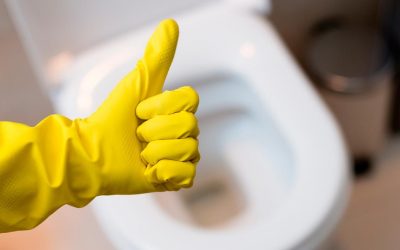 Consigue una limpieza de inodoro profunda